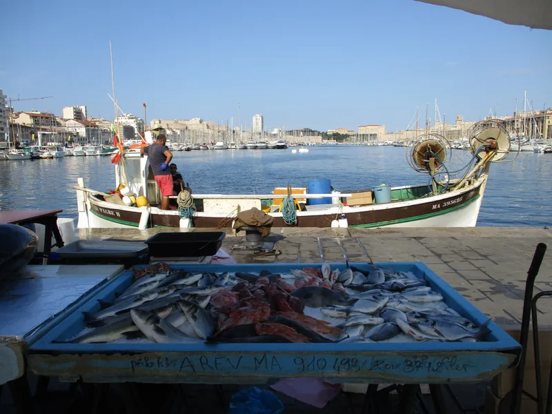 A blue tray of freshly landed fish on the quay of the Vieux-Port in Marseille