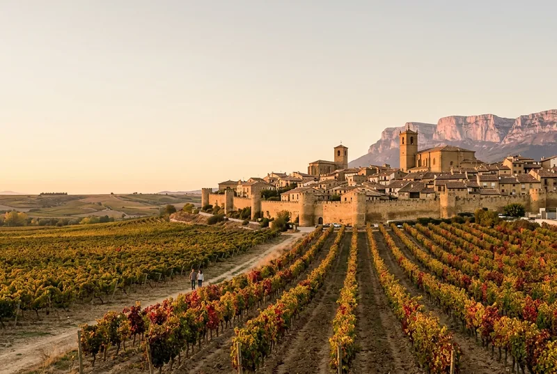 The walled hilltop town of Laguardia above red and gold autumn vineyards in Rioja Alavesa
