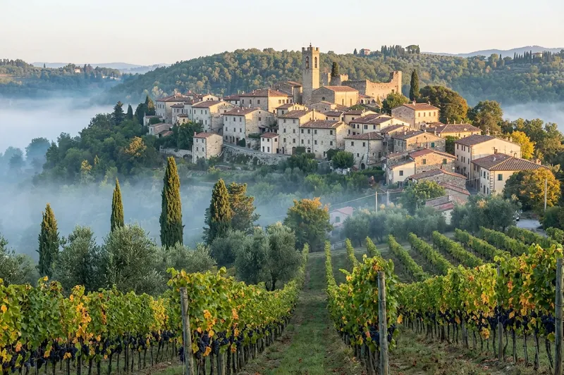 The hill village of Panzano in Chianti above morning mist, with grapevines in the foreground